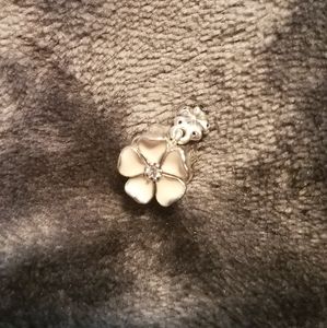 Pandora charms